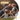 Kolloidales Gold Familie Hund 